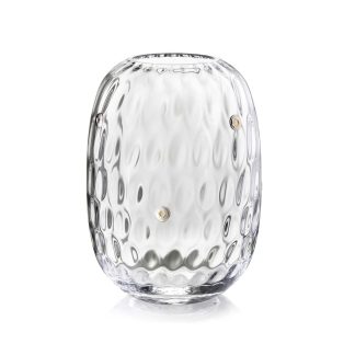 Vaso in vetro con Argento e margheritine