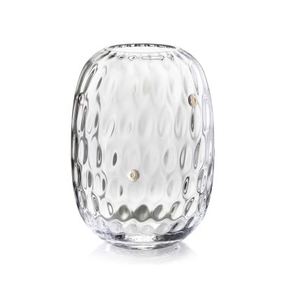 Vaso in vetro con Argento e margheritine